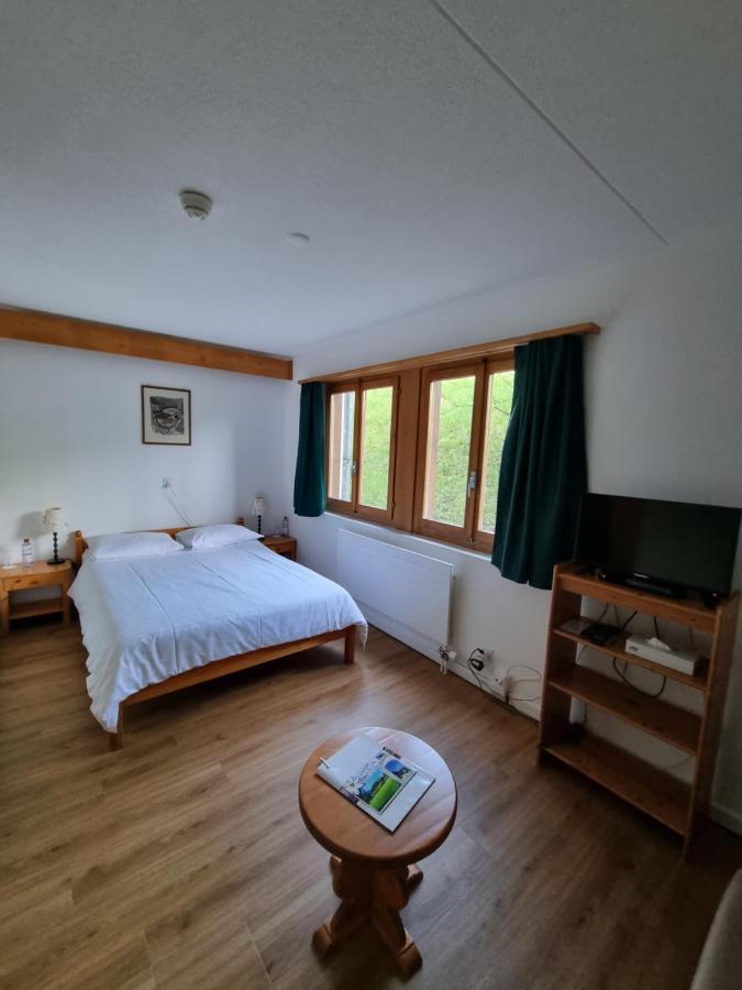 Hotel Roc Et Neige Chateau-d'Oex Zewnętrze zdjęcie